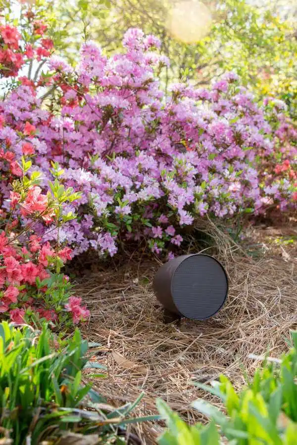 imagenes-smartify-web audio imagenes-smartify-web audio